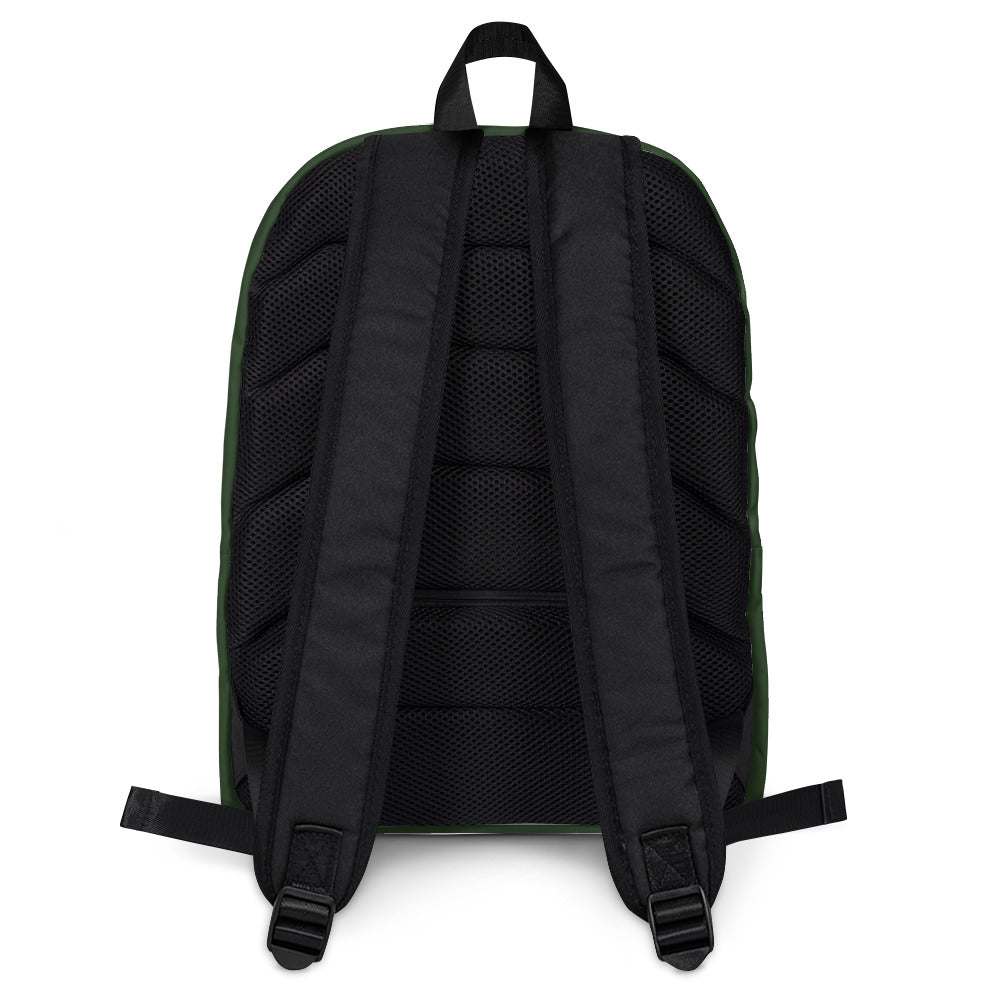 Mexican Flag Backpack