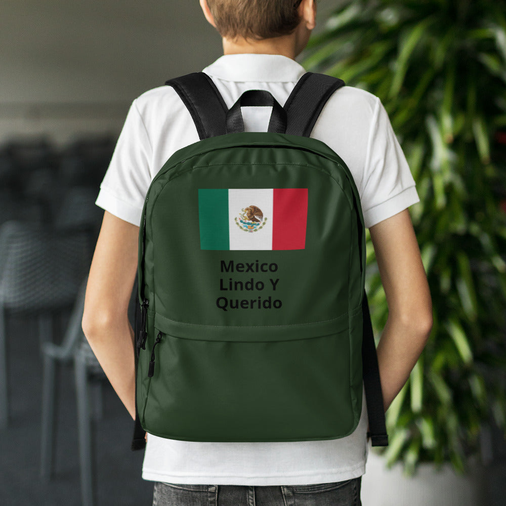 Mexican Flag Backpack