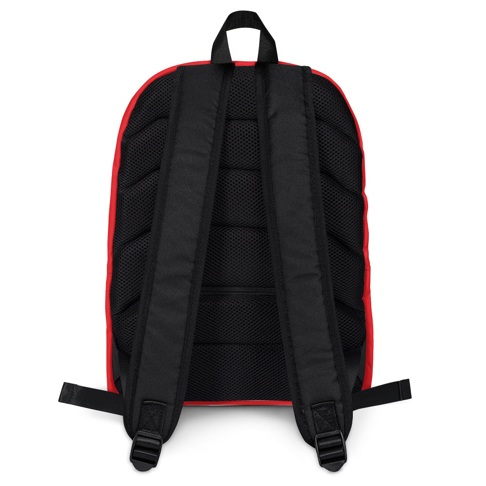 Single Day Pack