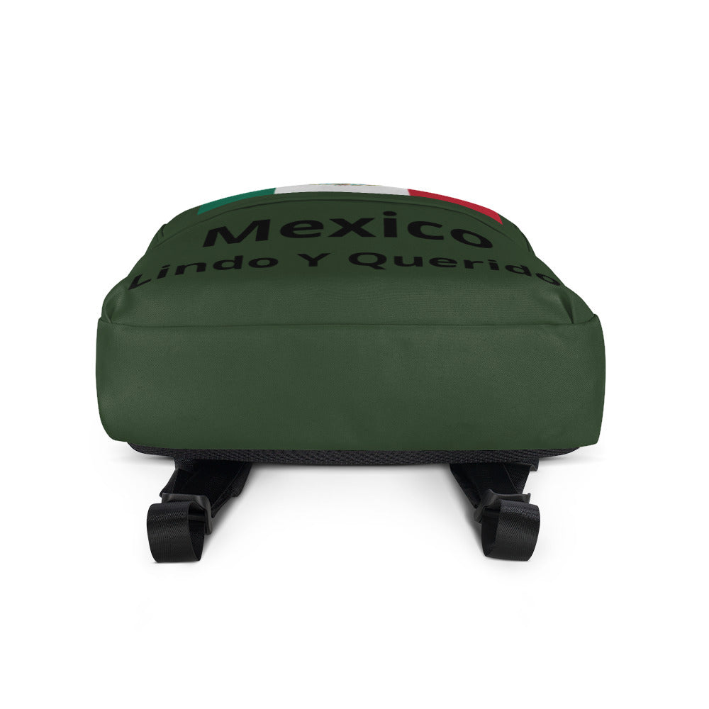 Mexican Flag Backpack