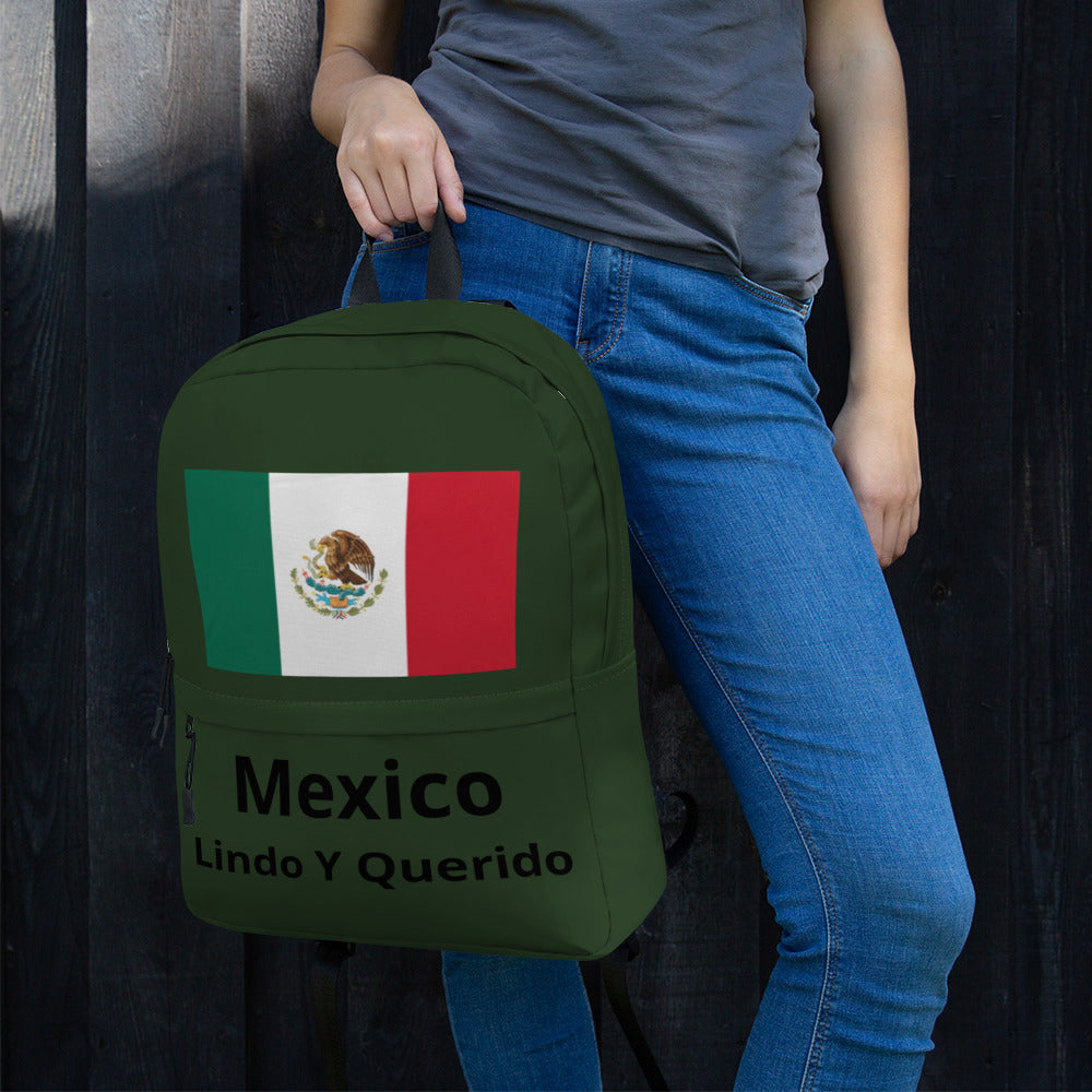 Mexican Flag Backpack