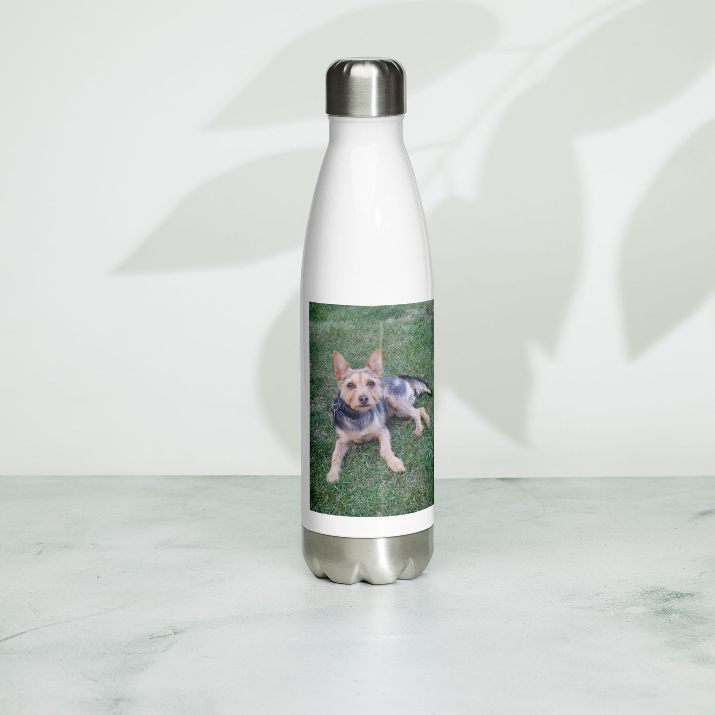 Ollie's Water Bottle 17oz