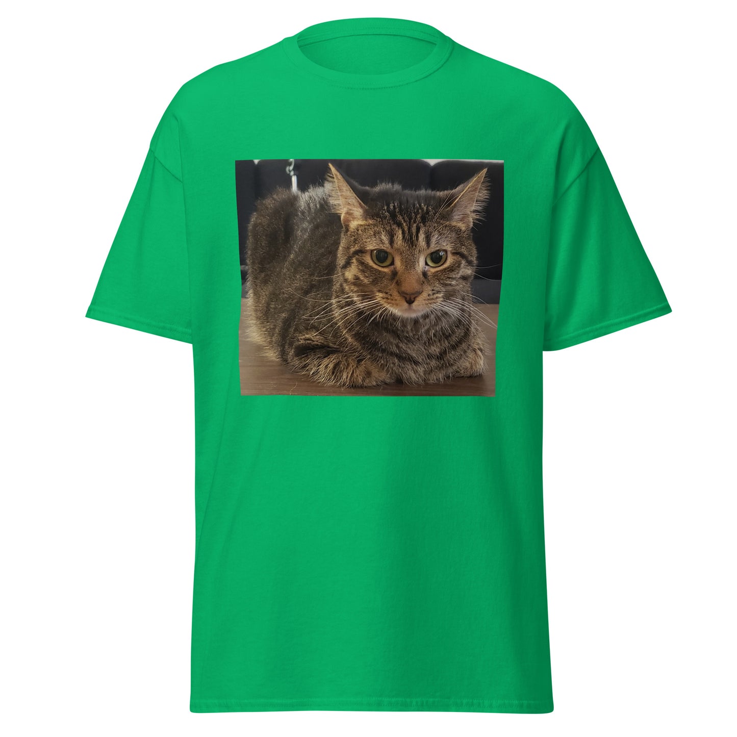 Cat Shirt