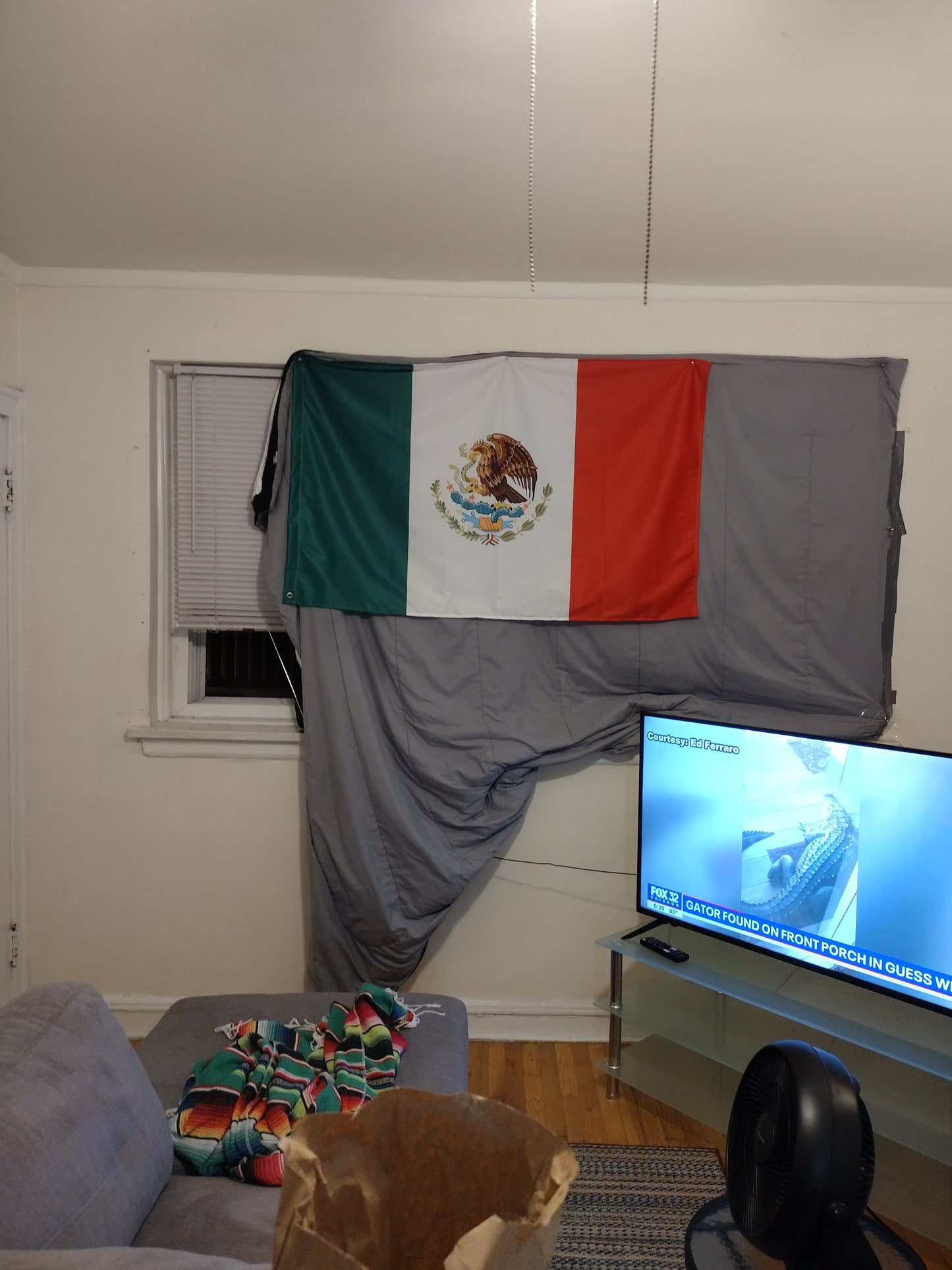 Mexican Flag