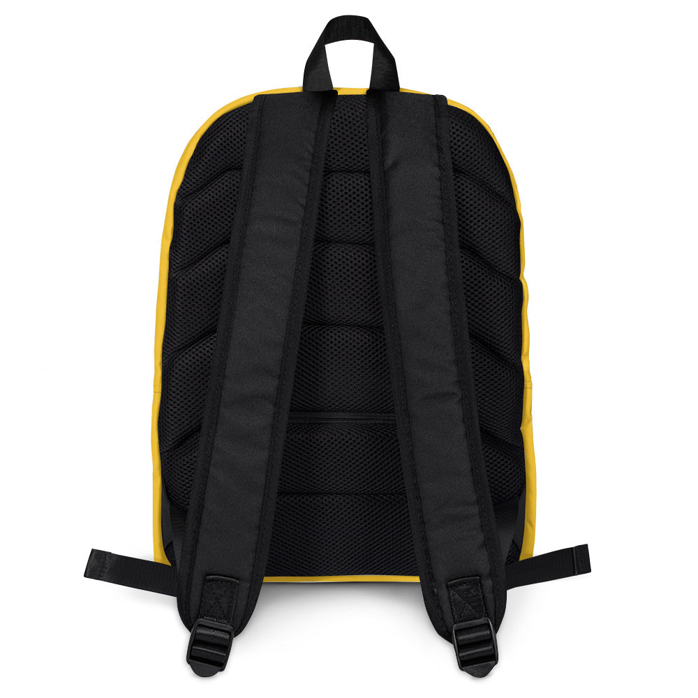 Our Lady of Guadalupe Backpack - FREE SHIPPING