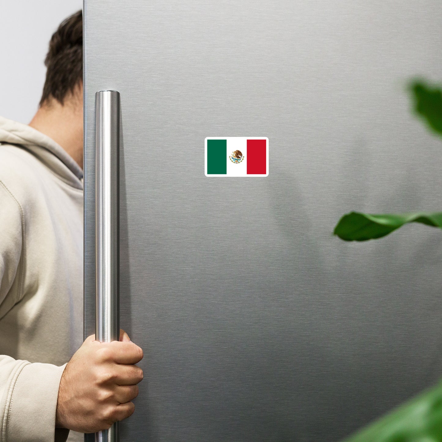Mexican Flag Magnet