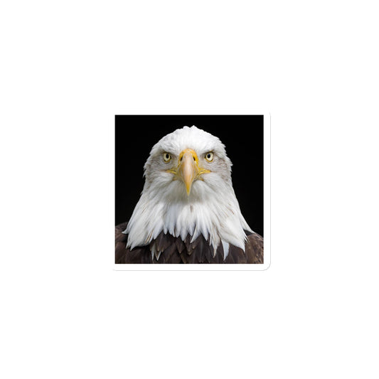 Eagle Magnet