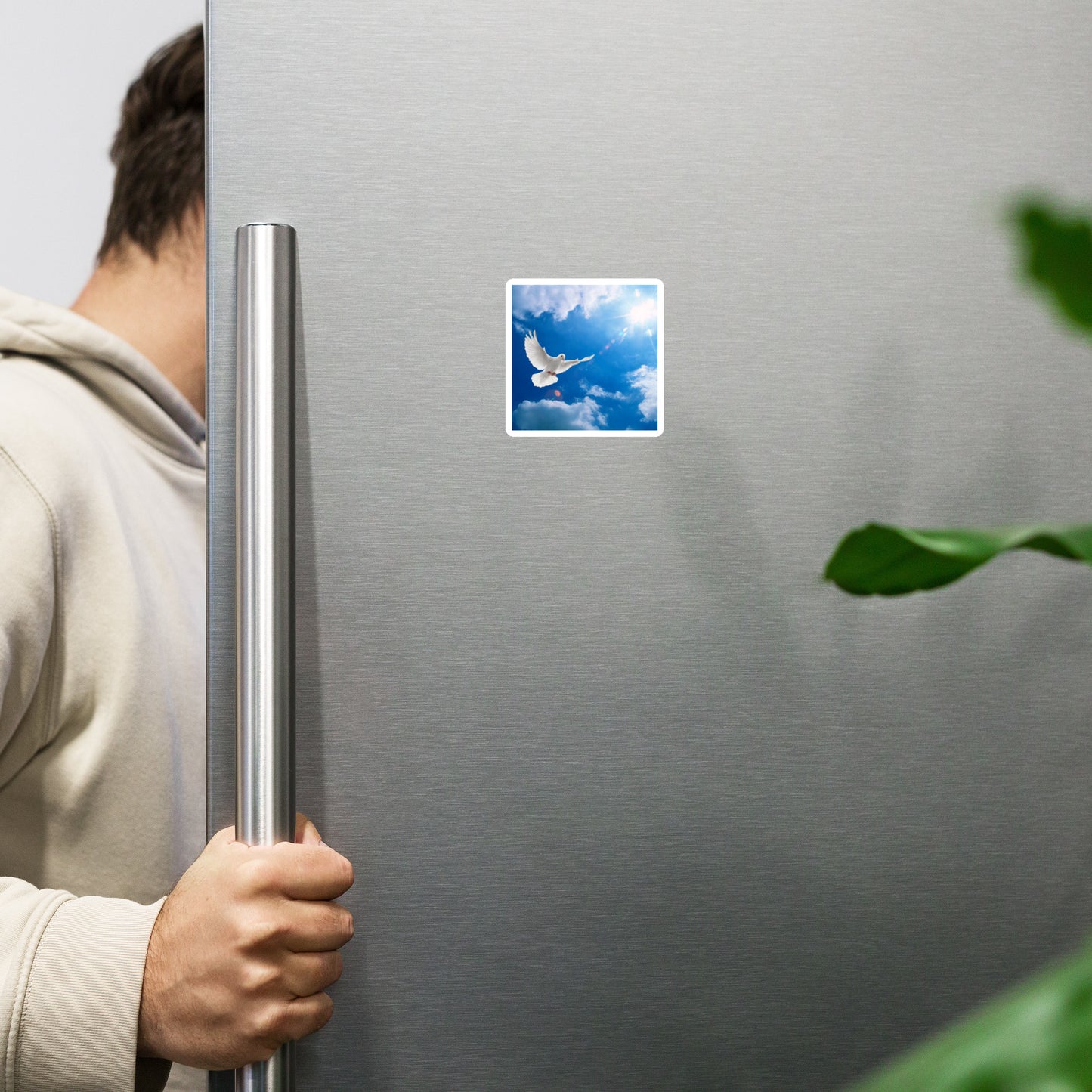 Dove Magnet