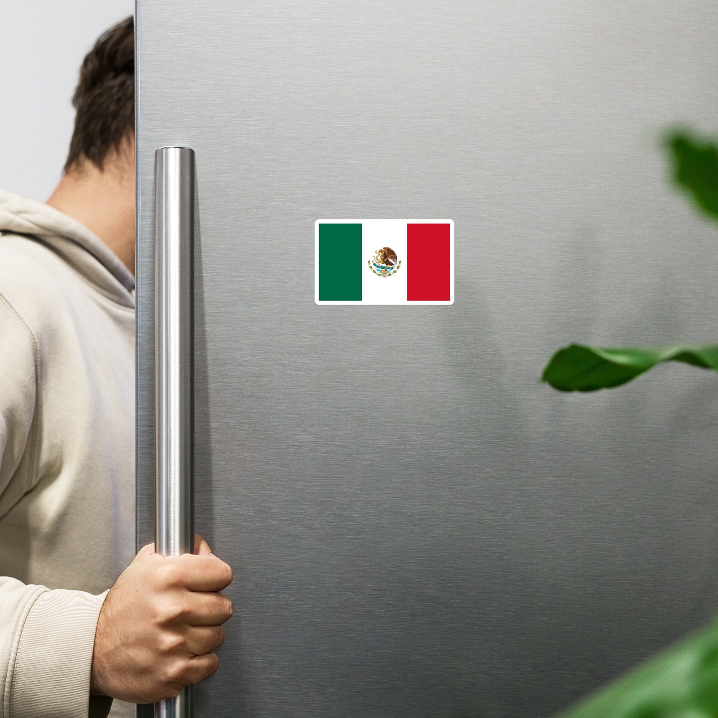 Mexican Flag Magnet