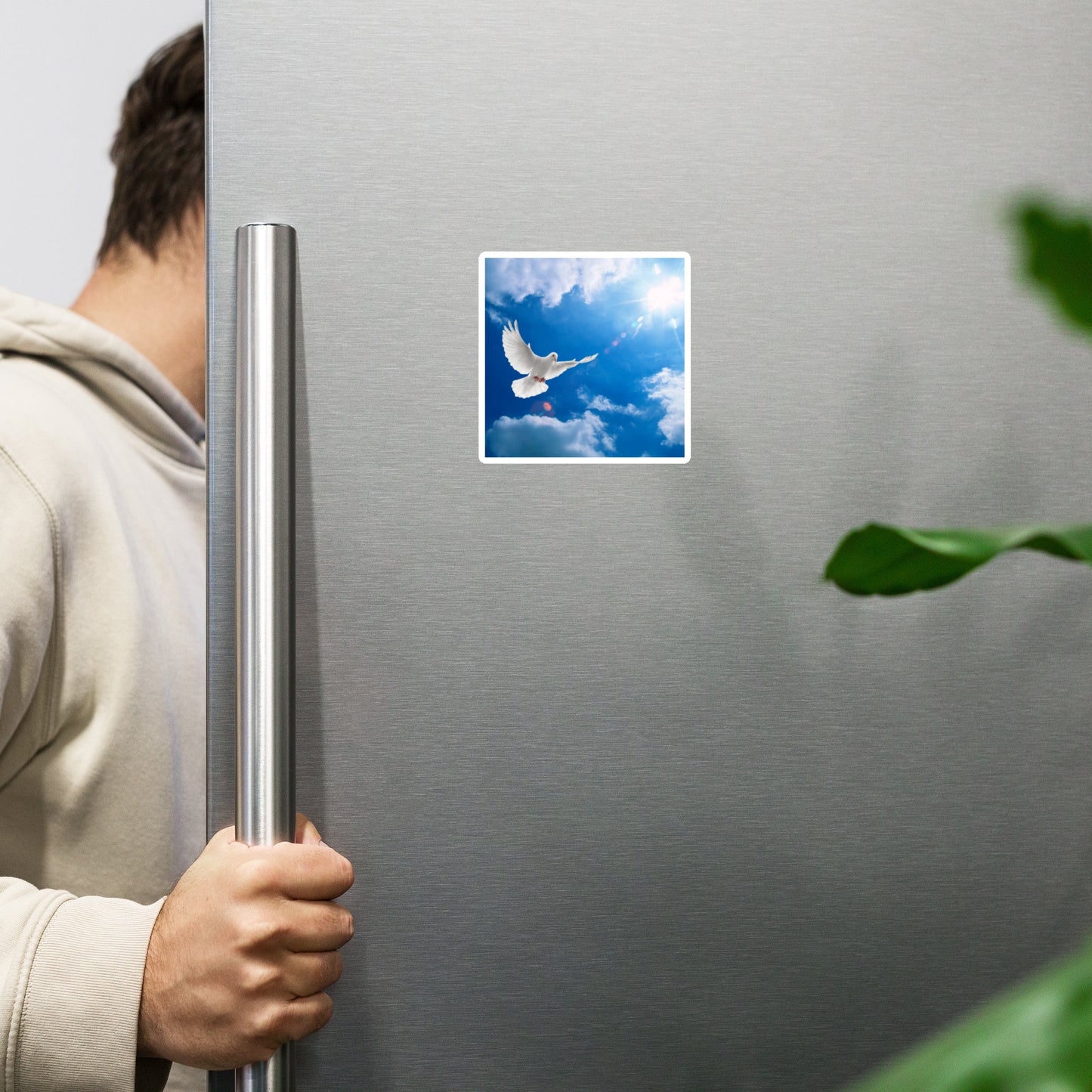 Dove Magnet