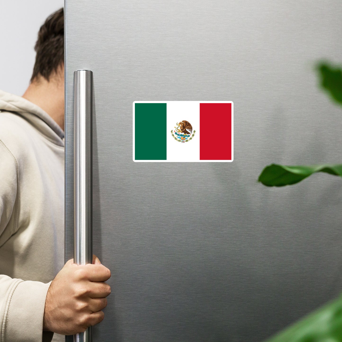 Mexican Flag Magnet