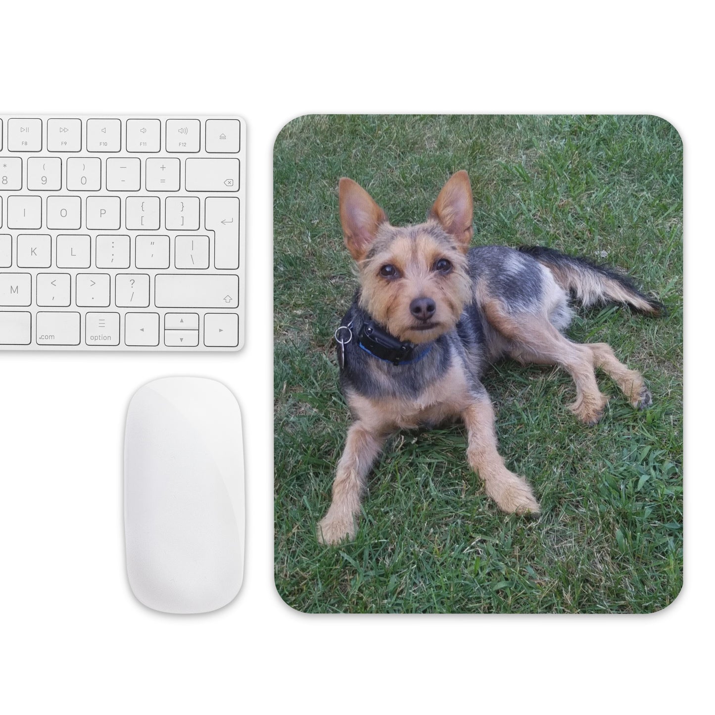 Ollie's Mouse pad