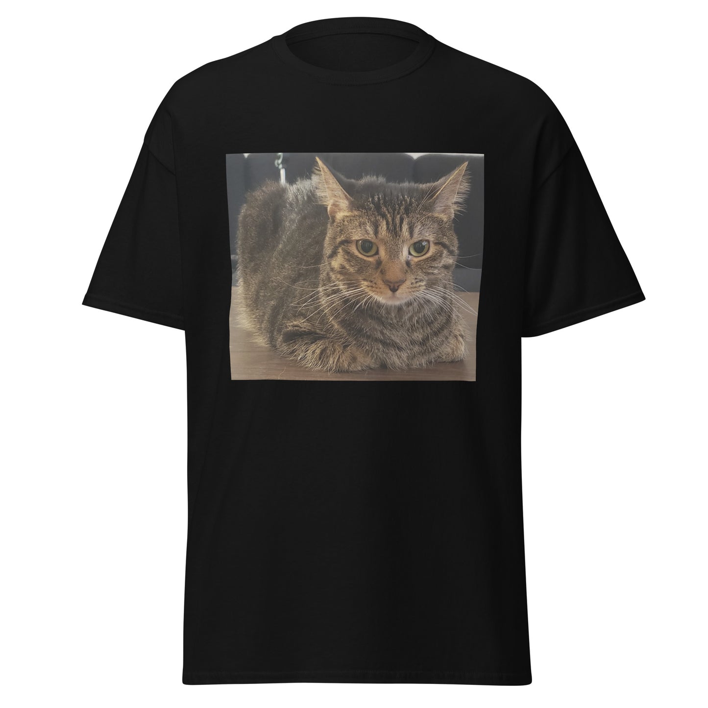 Cat Shirt