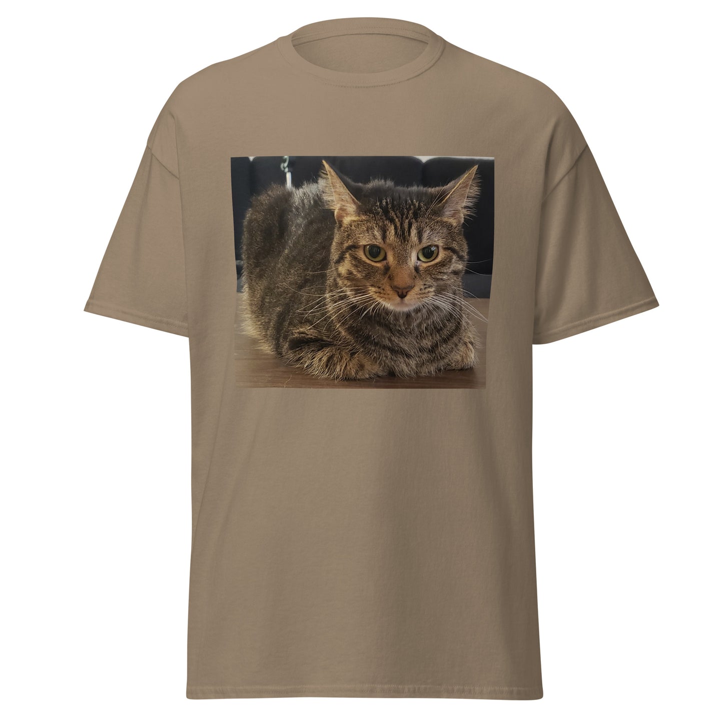 Cat Shirt