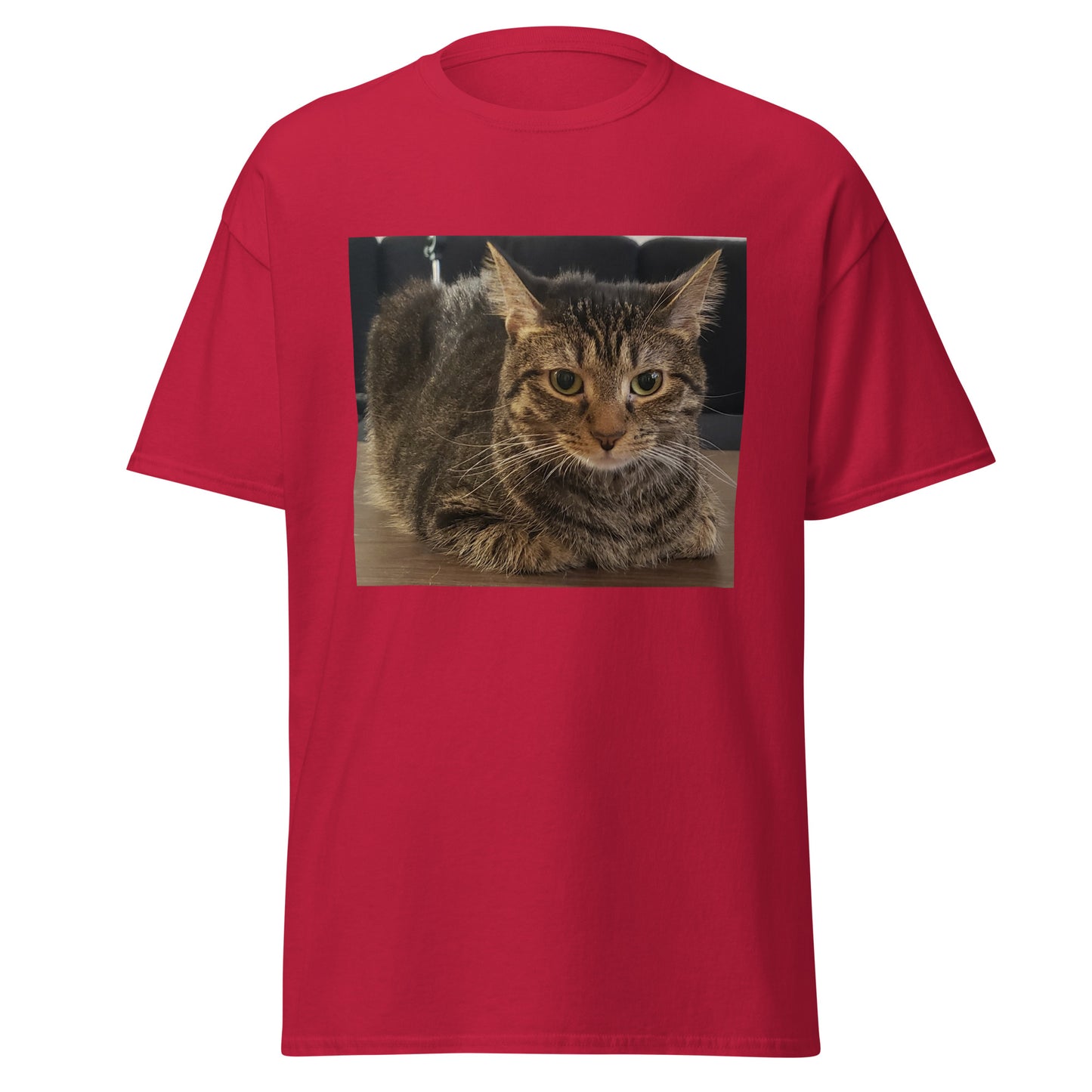 Cat Shirt