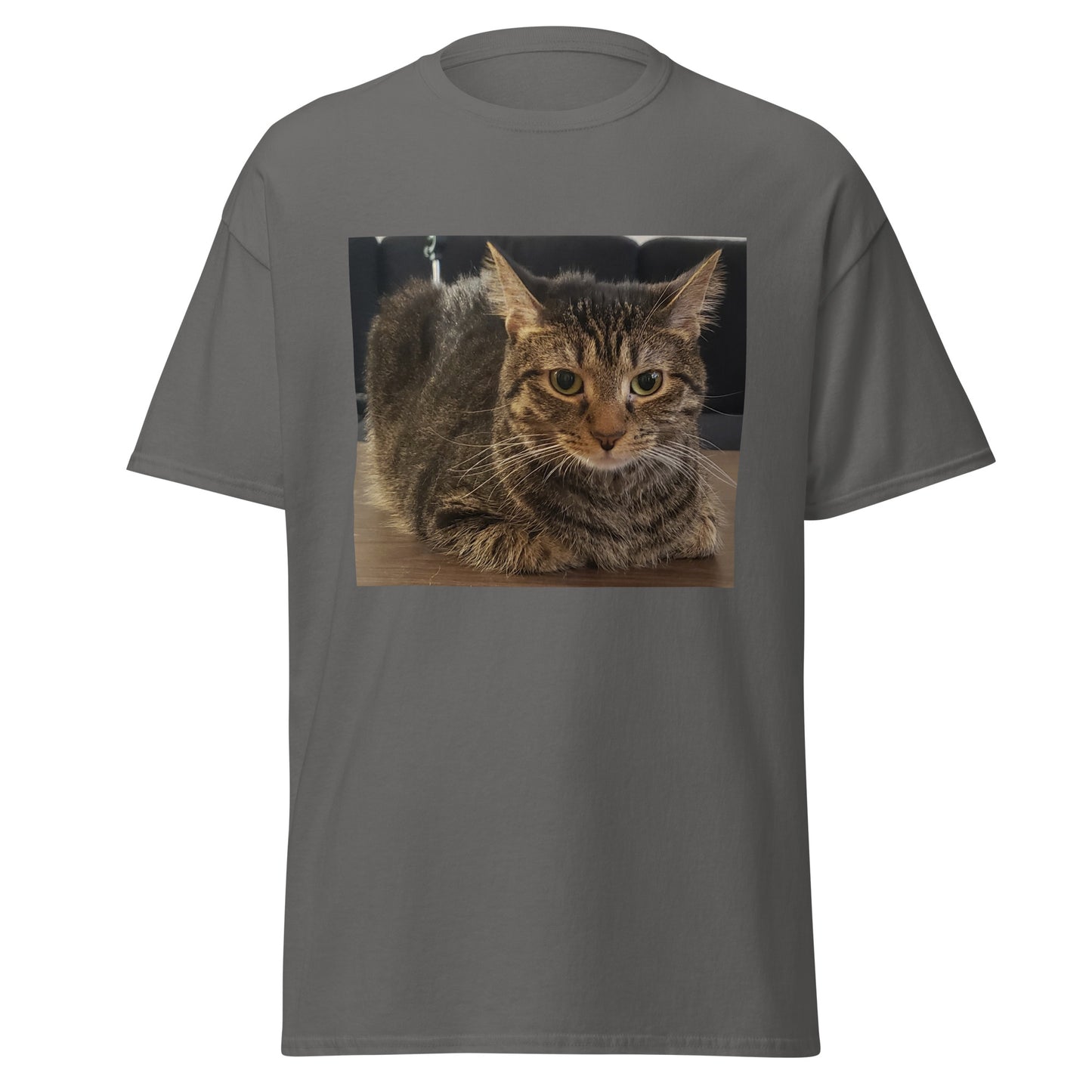 Cat Shirt