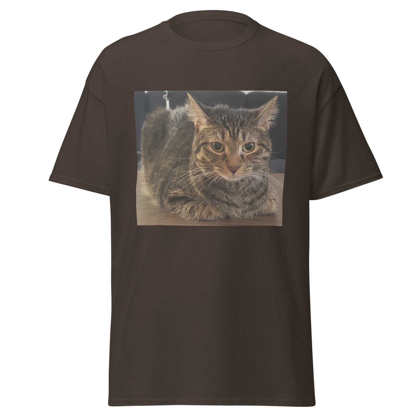 Cat Shirt