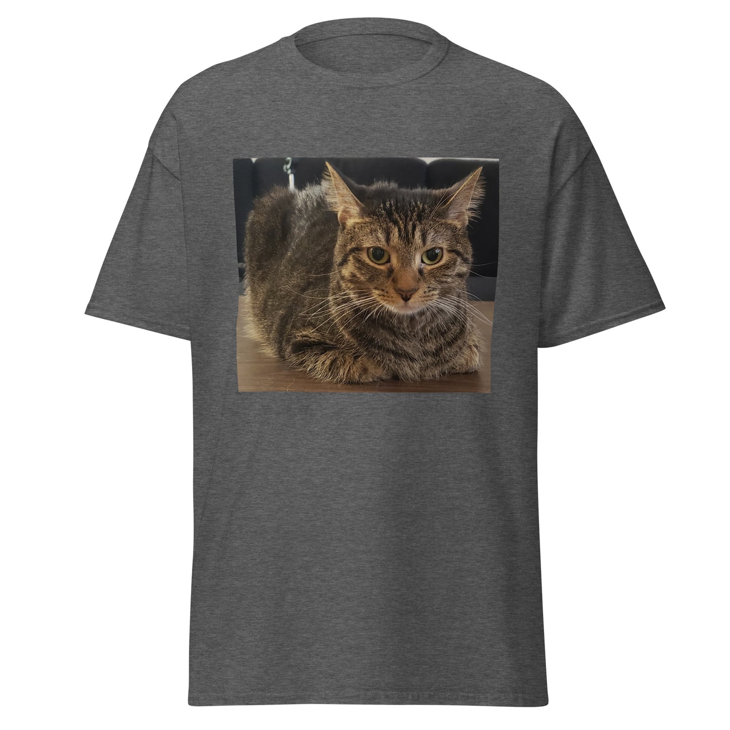 Cat Shirt