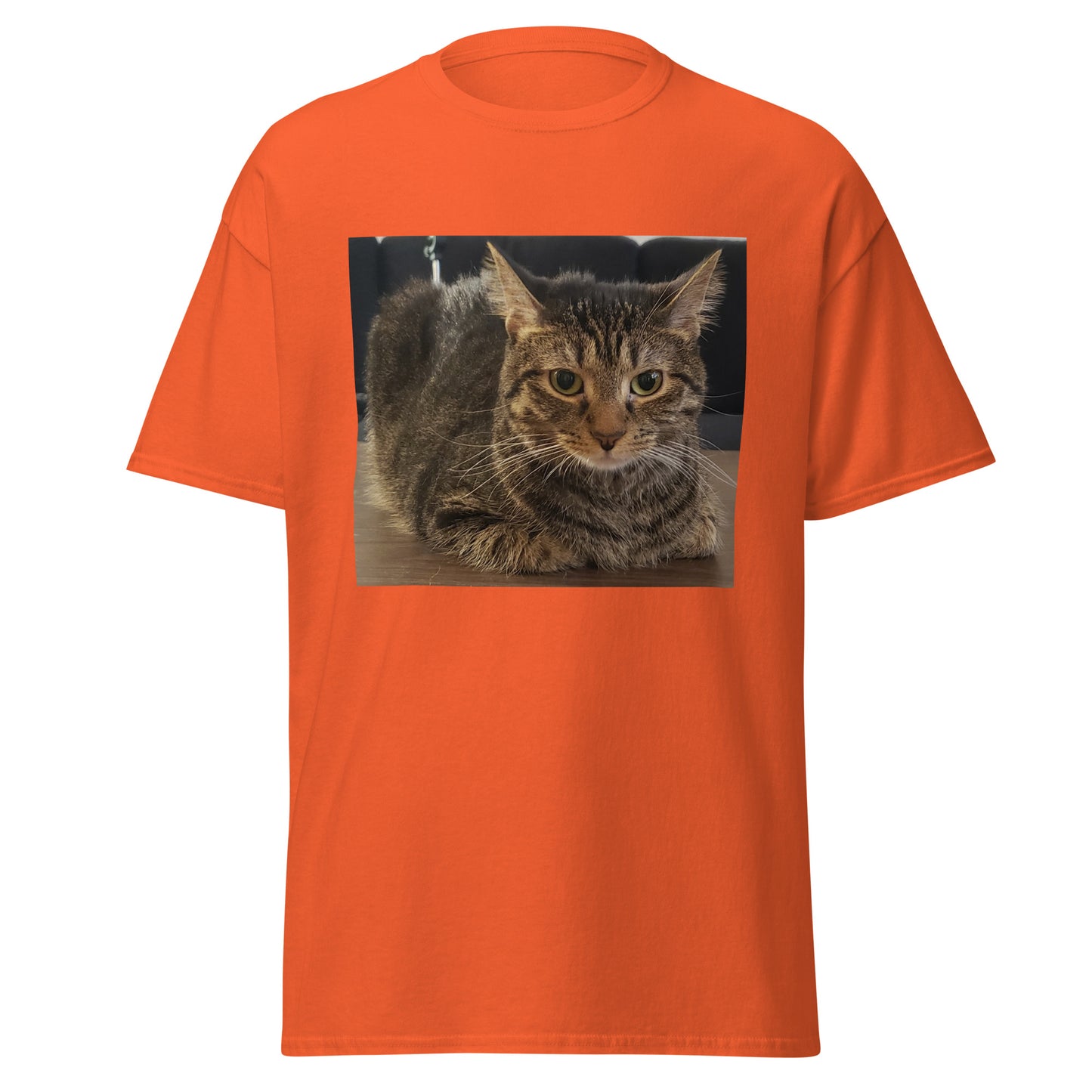 Cat Shirt