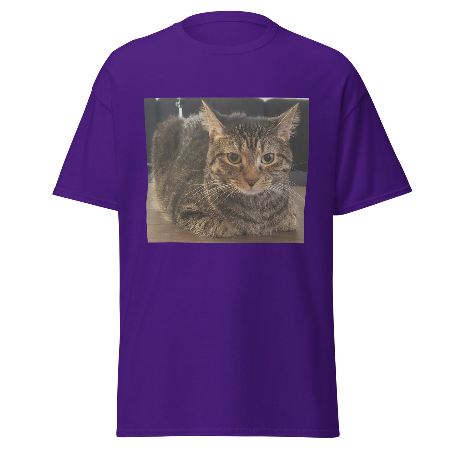 Cat Shirt