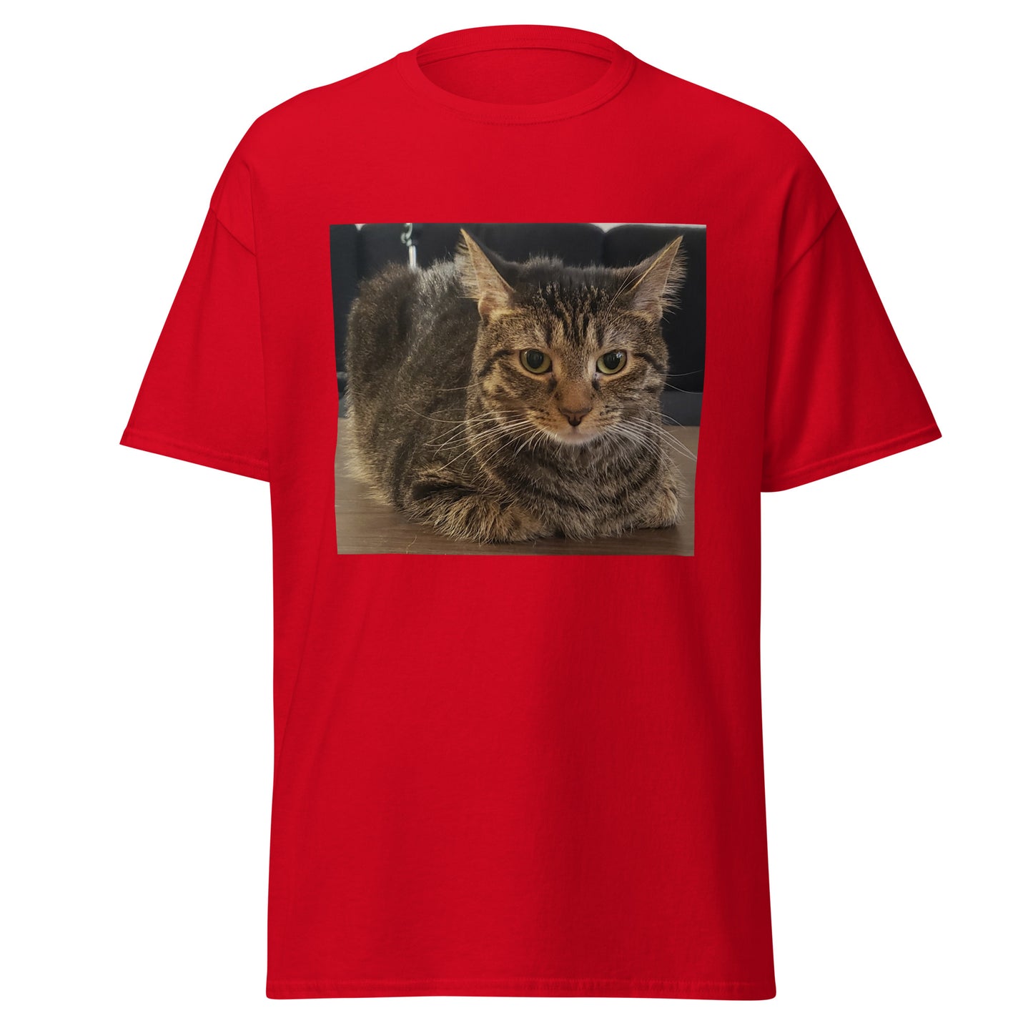 Cat Shirt