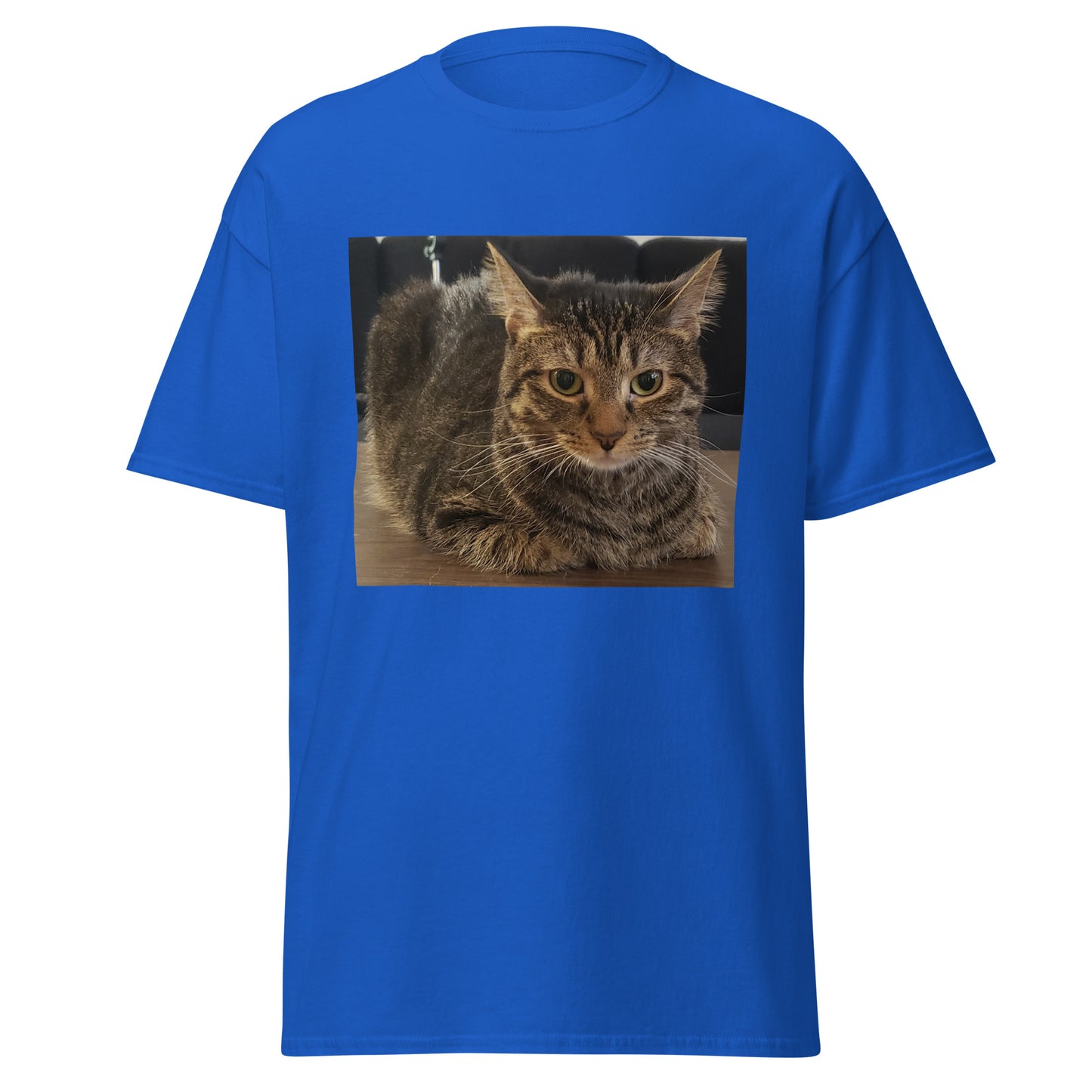 Cat Shirt