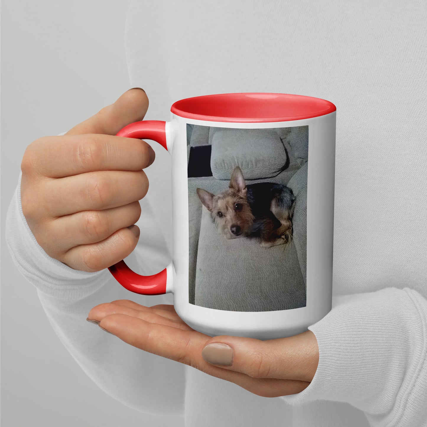 Ollie's Mug with Color Inside