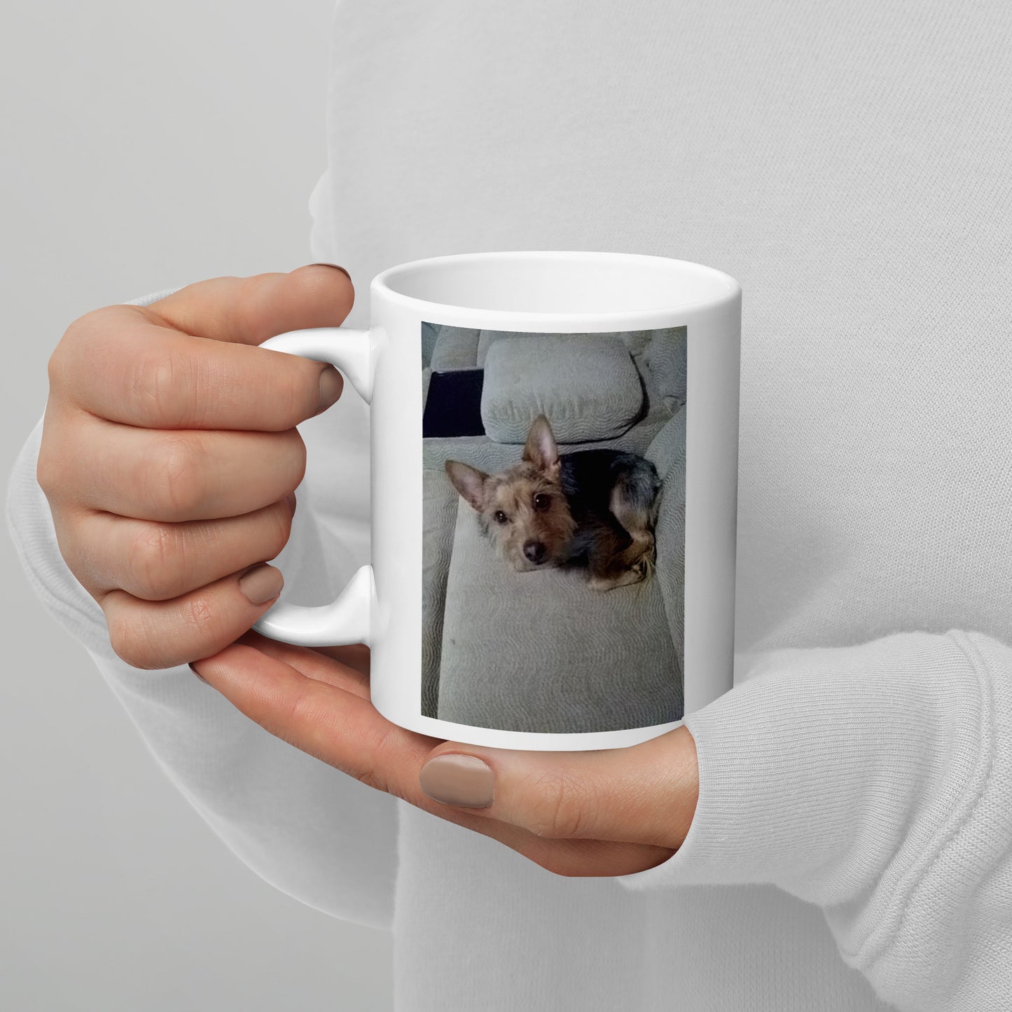 Ollie's Mug