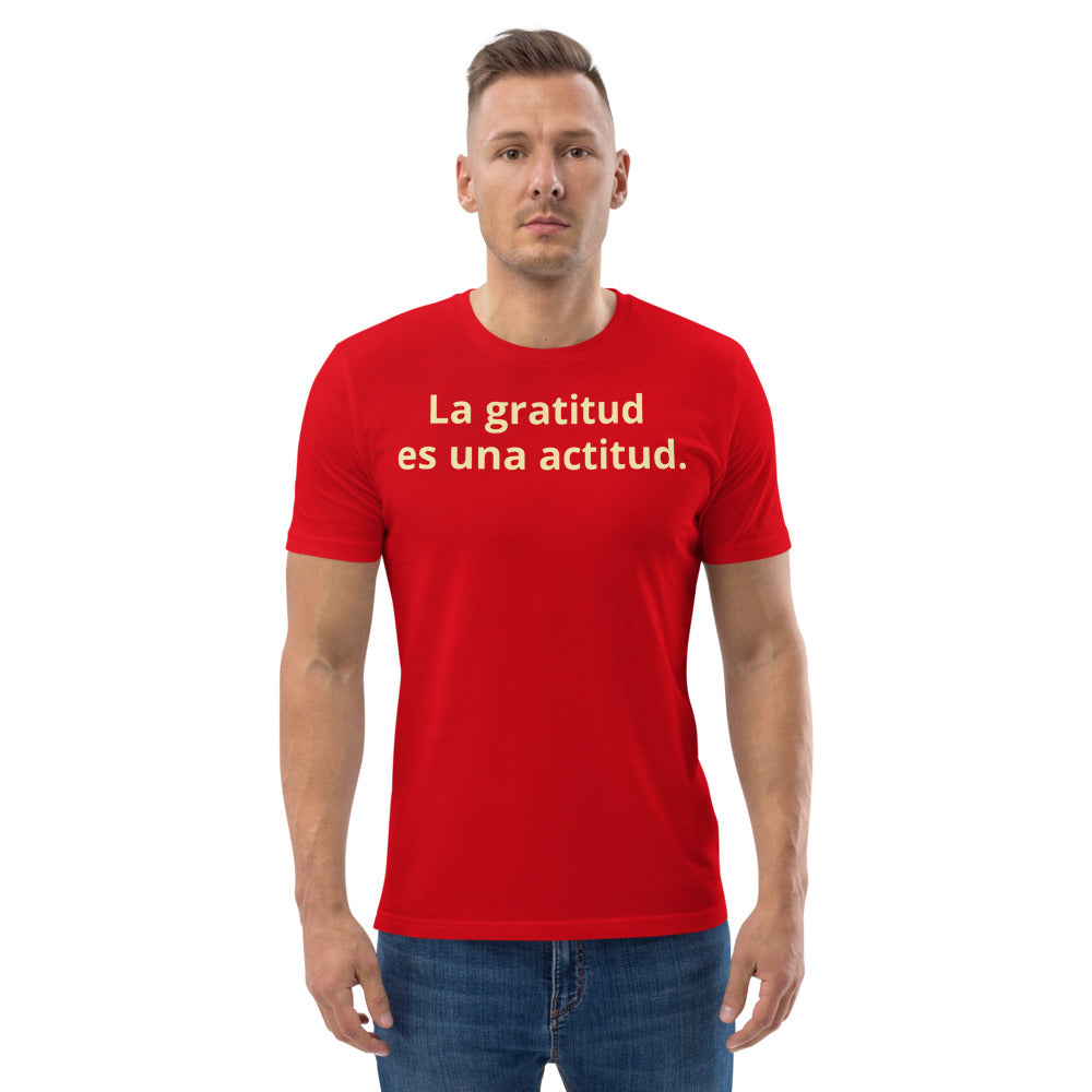 Gratitude is an Attitude