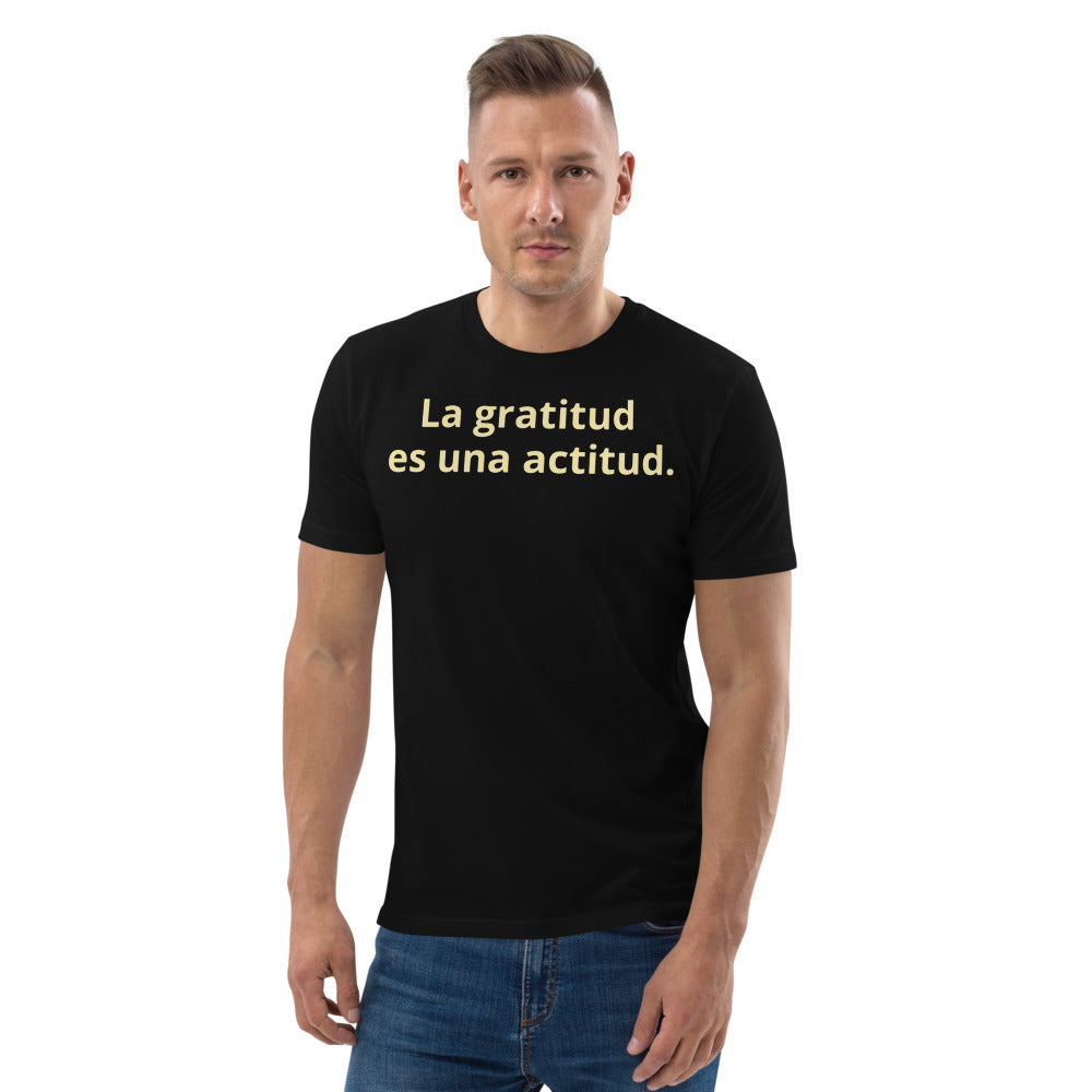 Gratitude is an Attitude