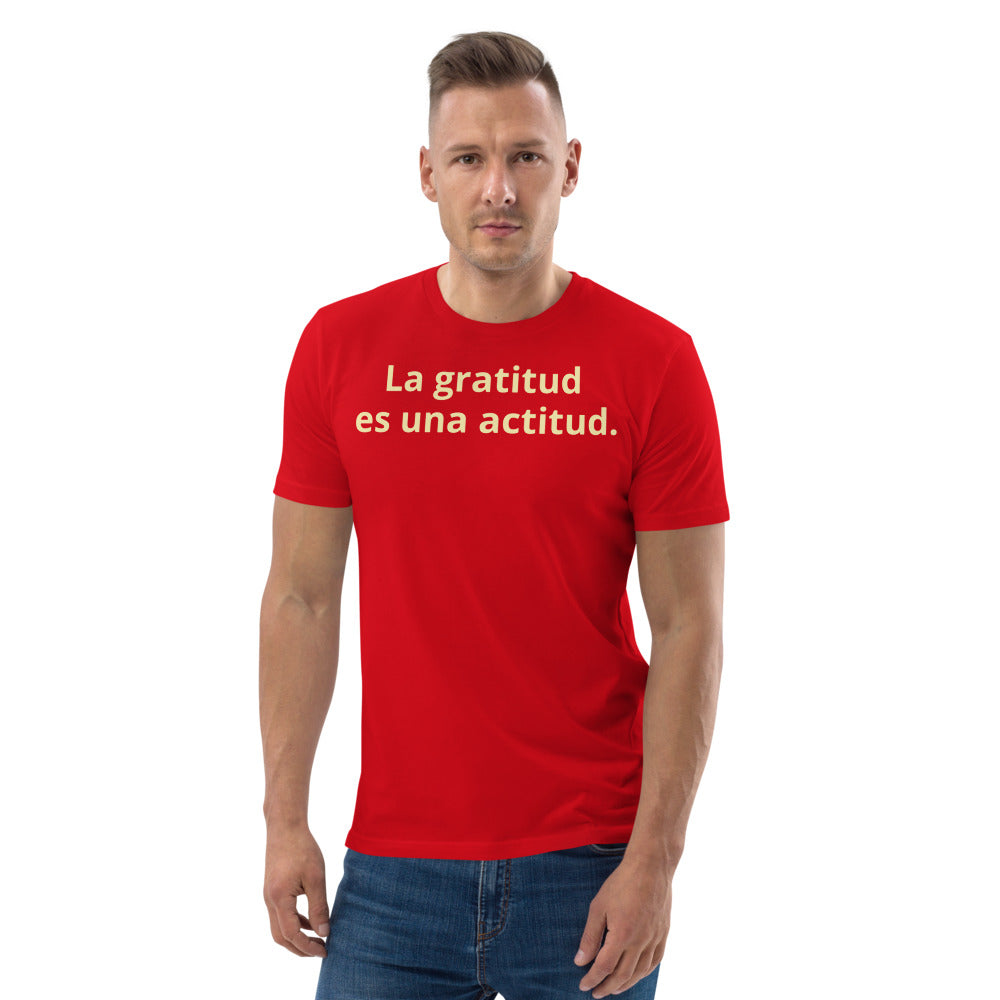 Gratitude is an Attitude