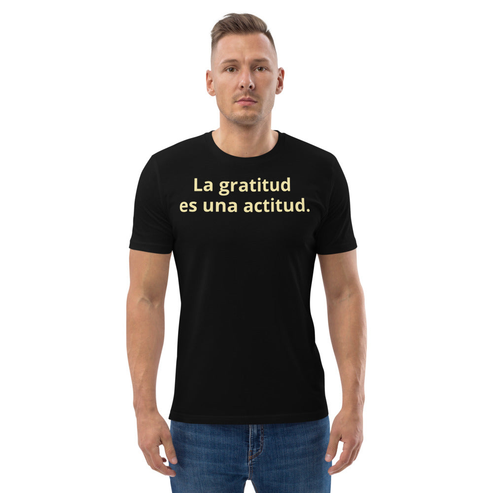 Gratitude is an Attitude