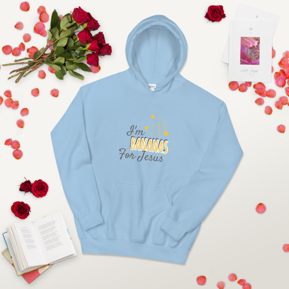 Jesus Hoodie