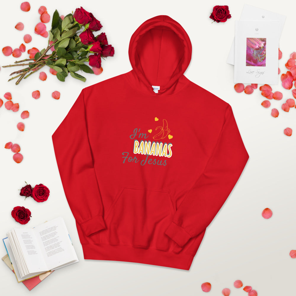 Jesus Hoodie
